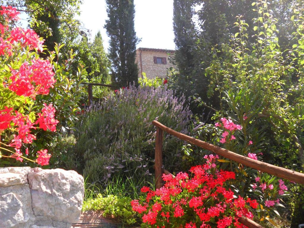 Agriturismo Roccagelli ヴァッロ・ディ・ネーラ エクステリア 写真