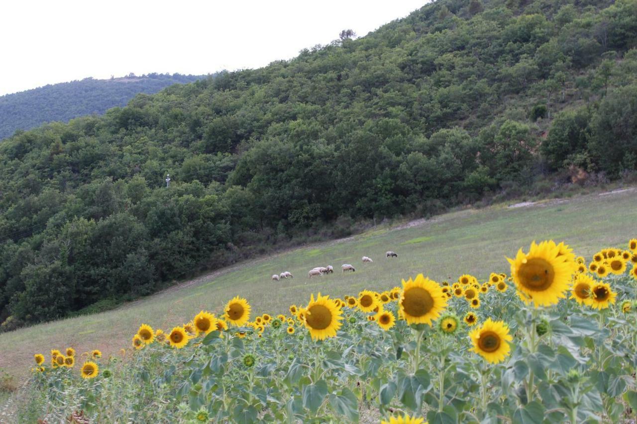 Agriturismo Roccagelli ヴァッロ・ディ・ネーラ エクステリア 写真